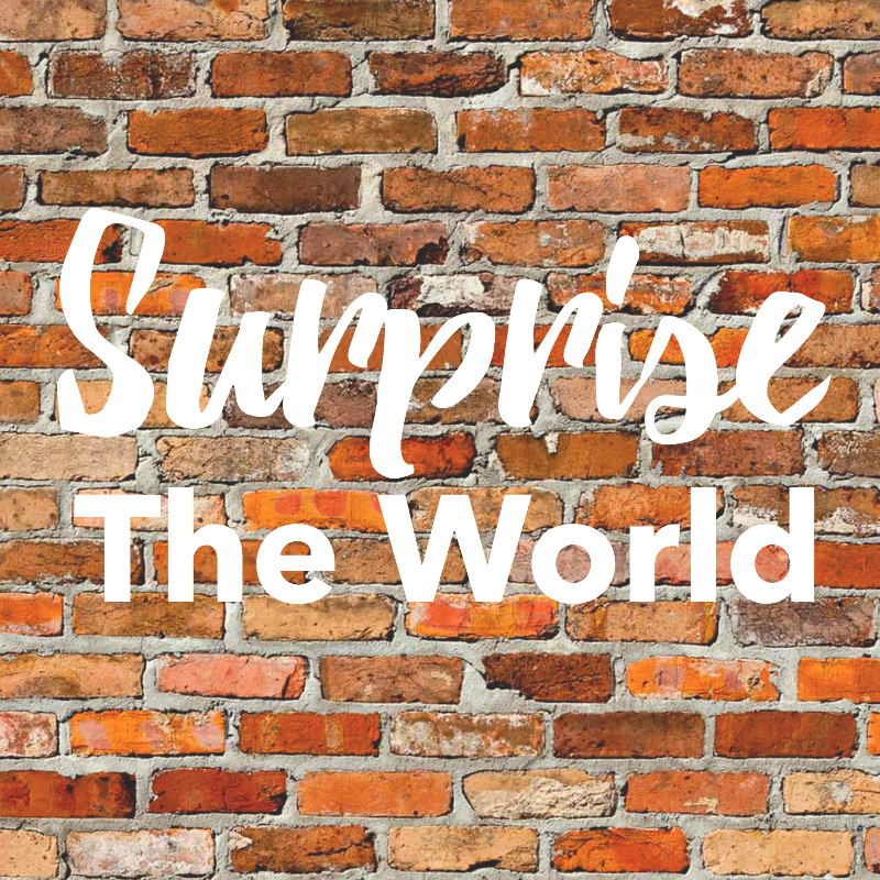 Go: Surprise the World