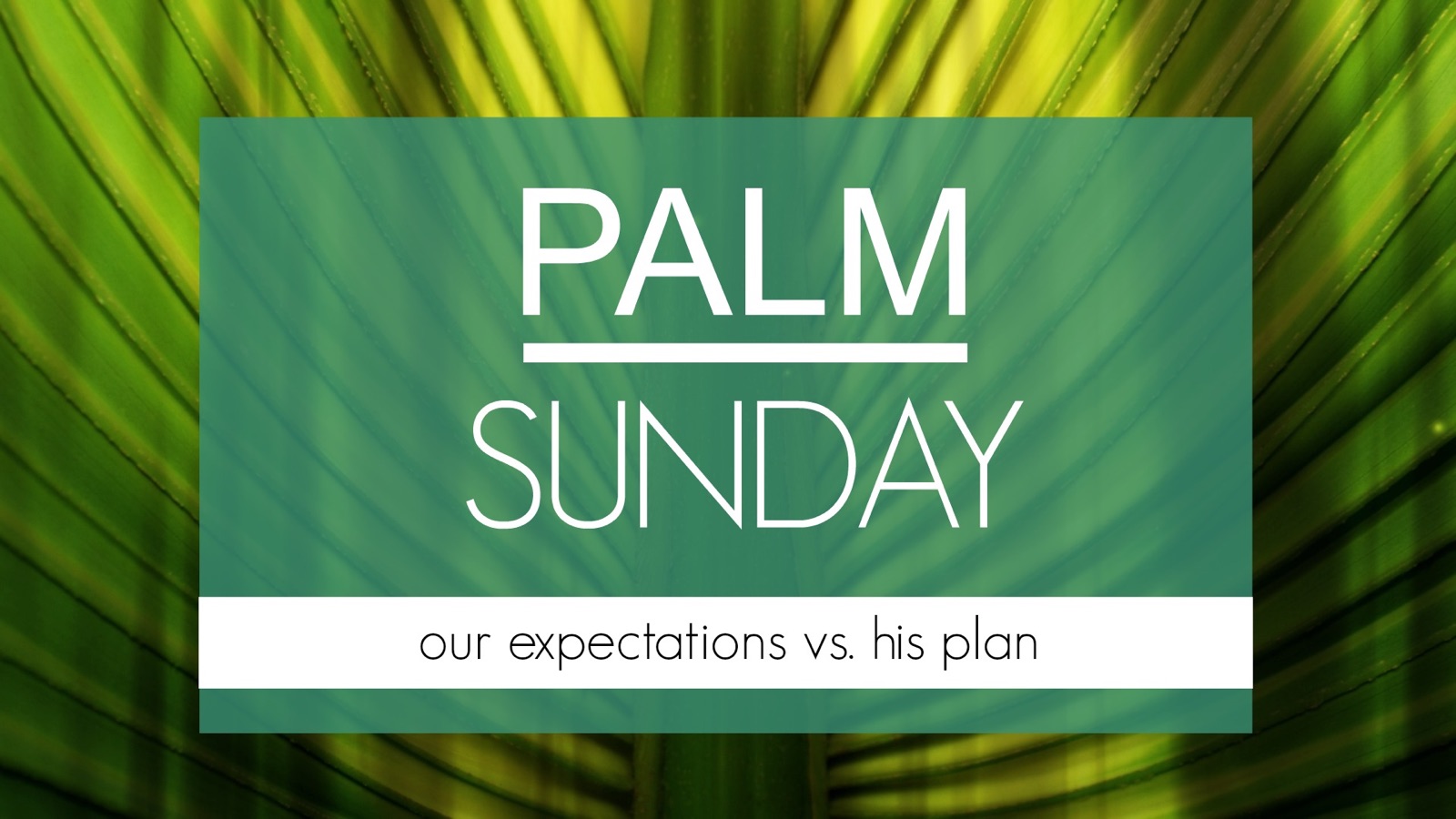 Palm Sunday