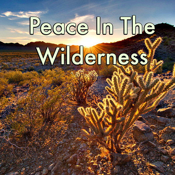 Peace in the Wilderness