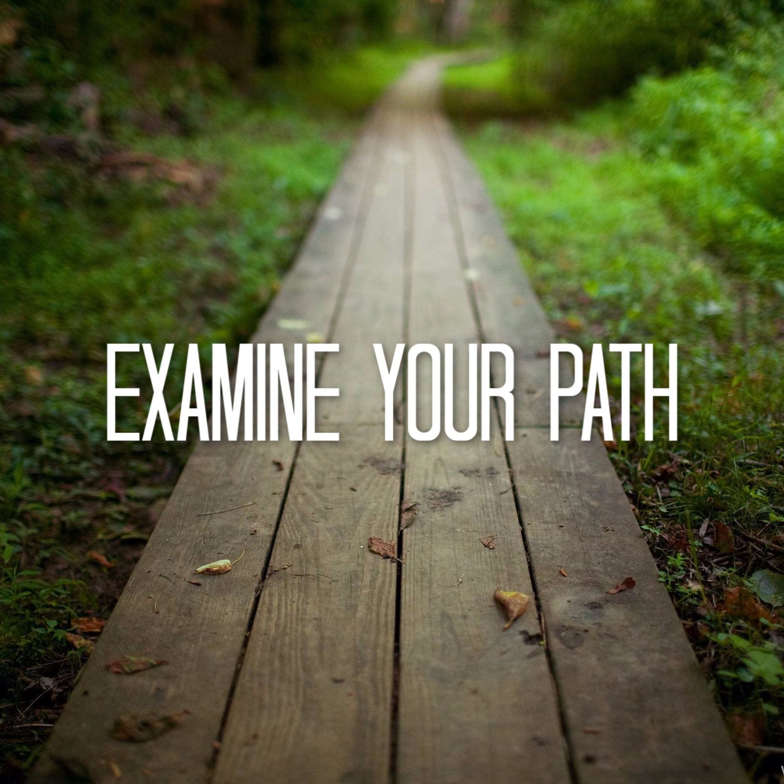 Examine Your Path