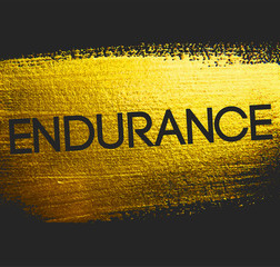 Endurance