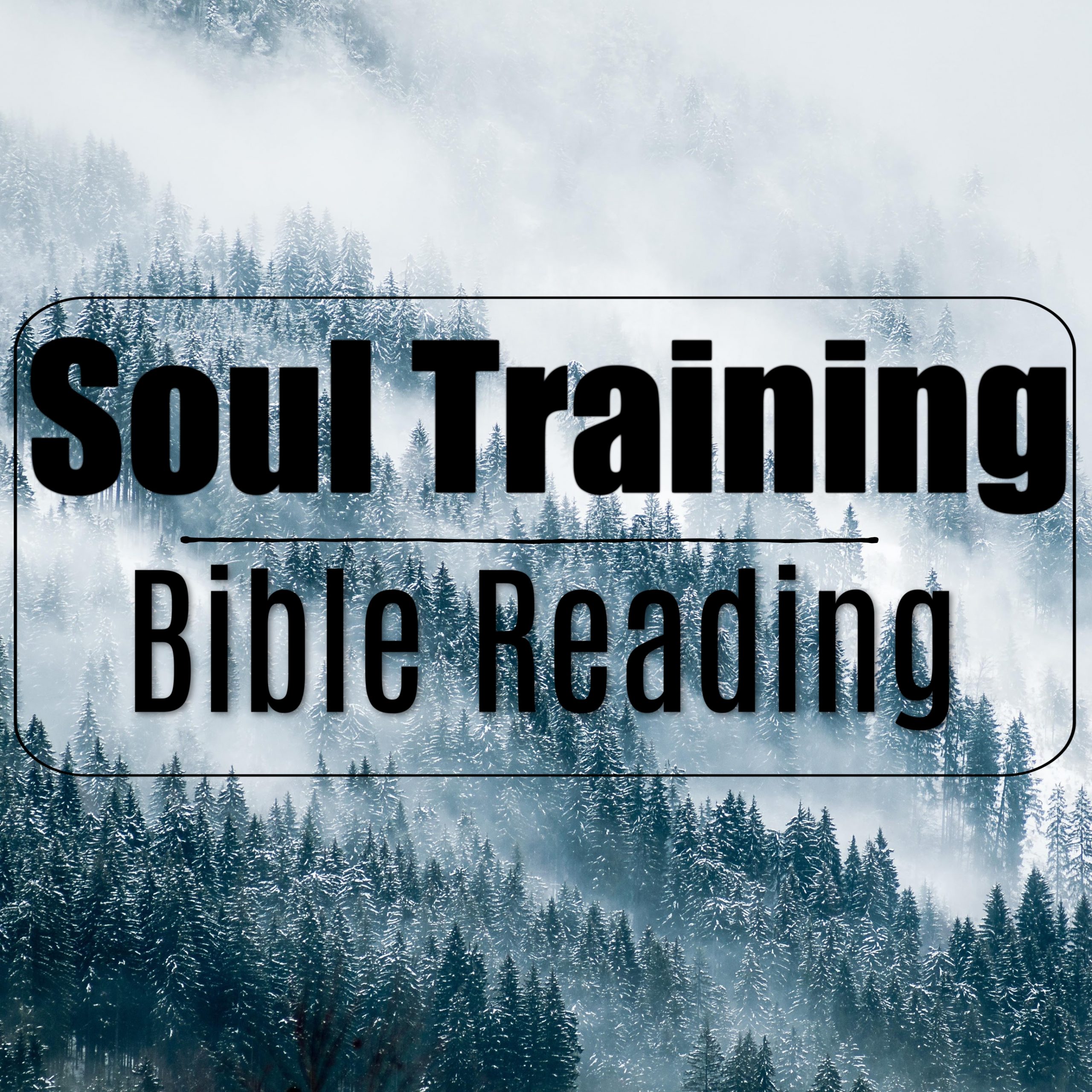 Soul Training- Bible Reading