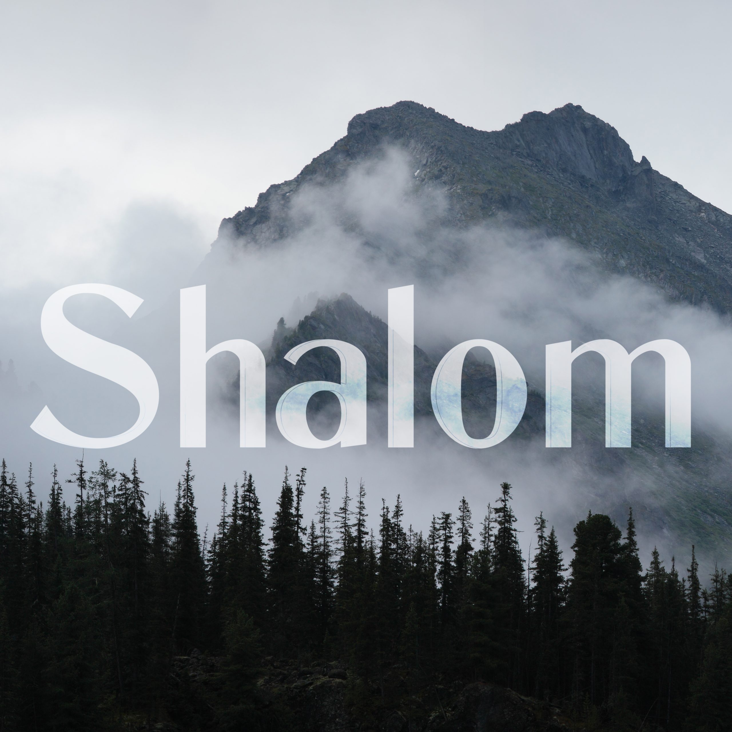 Shalom