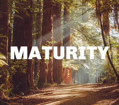 Maturity- W.1